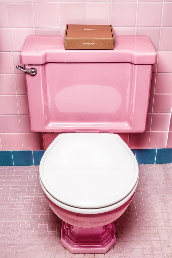 Les toilettes japonaises : une révolution en matière d'hygiène et de confort pour votre salle de bain